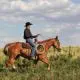 Rancher on horseback