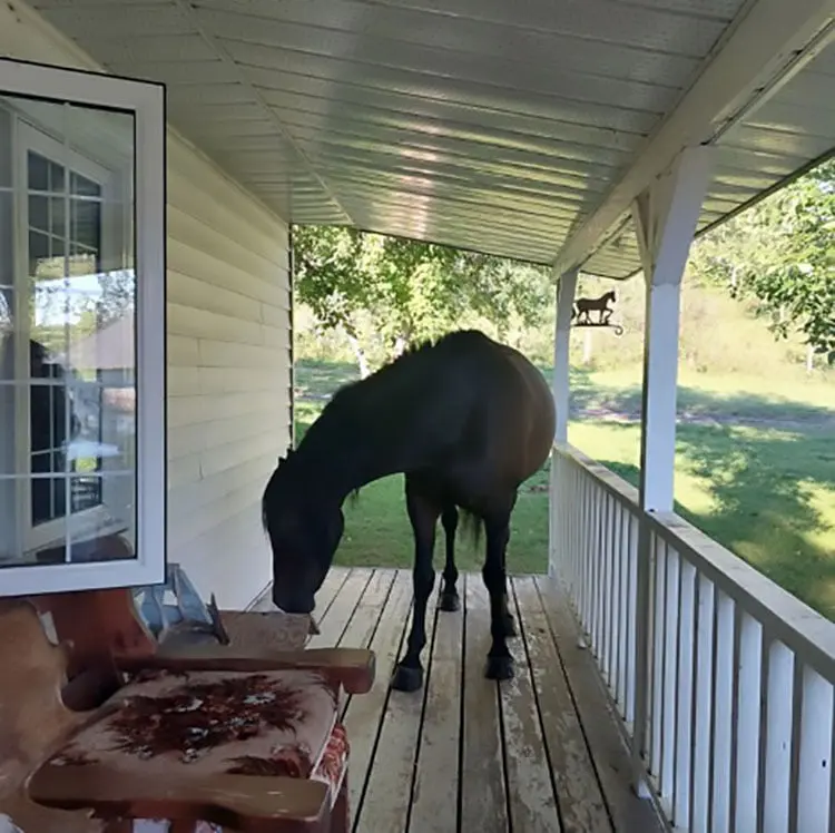 Sturgeon River Ranch