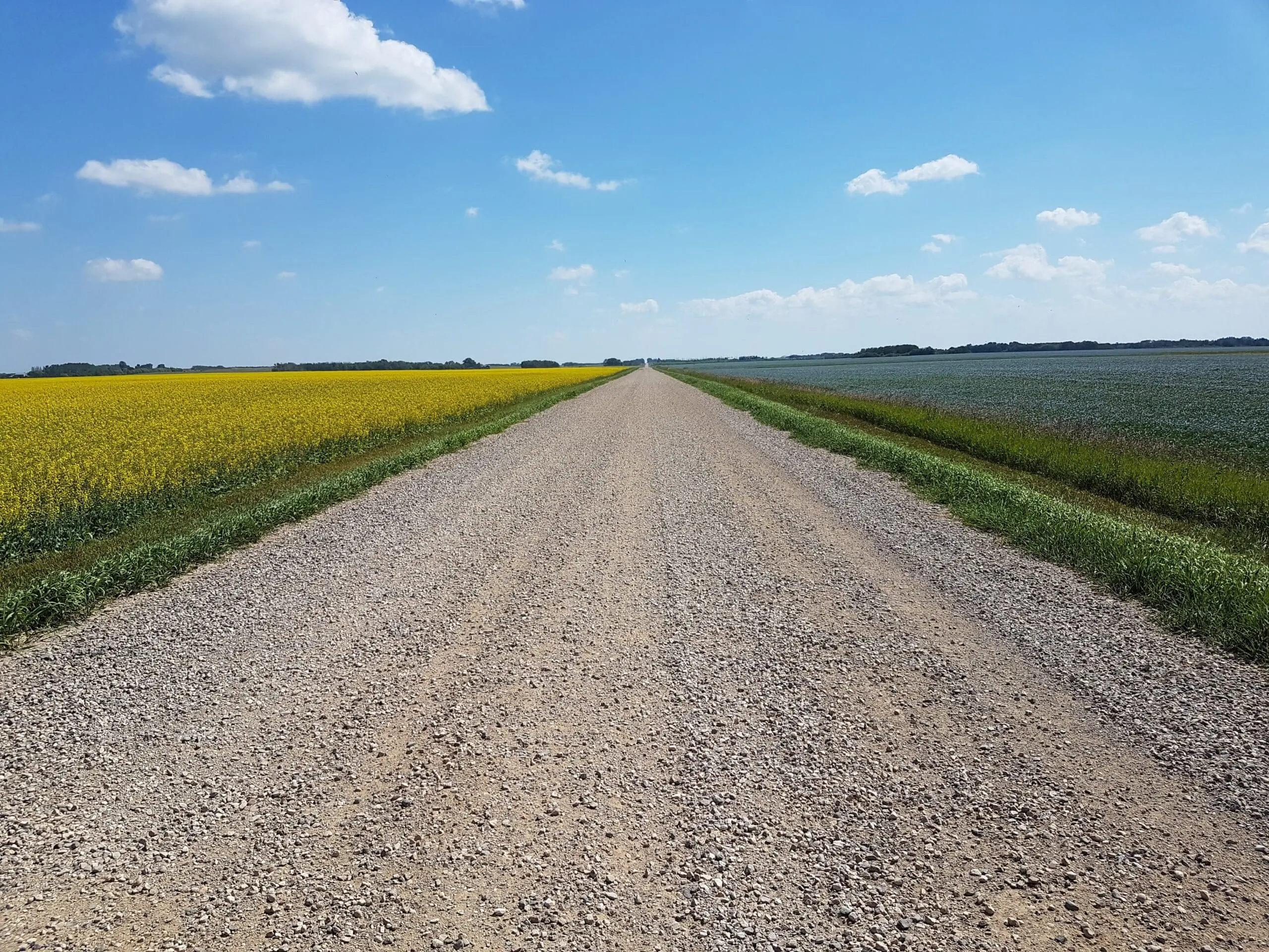 The Ultimate Southeast Weekend Drive: A Saskatchewan Open Farm Days Itinerary