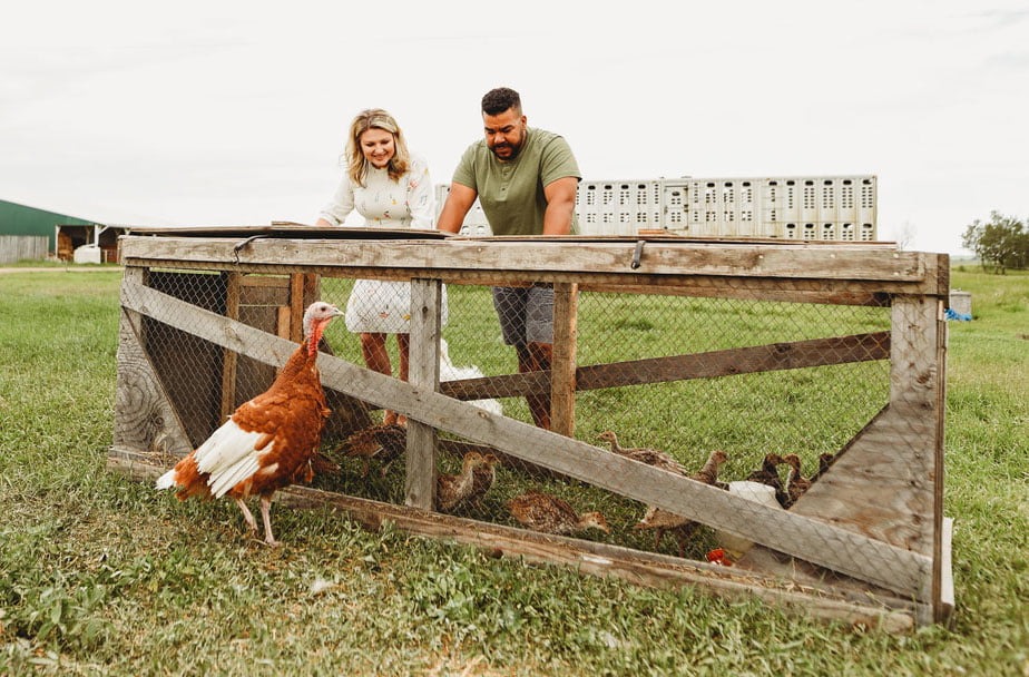 SK Open Farm Days Inspiration: Chatsworth Farm