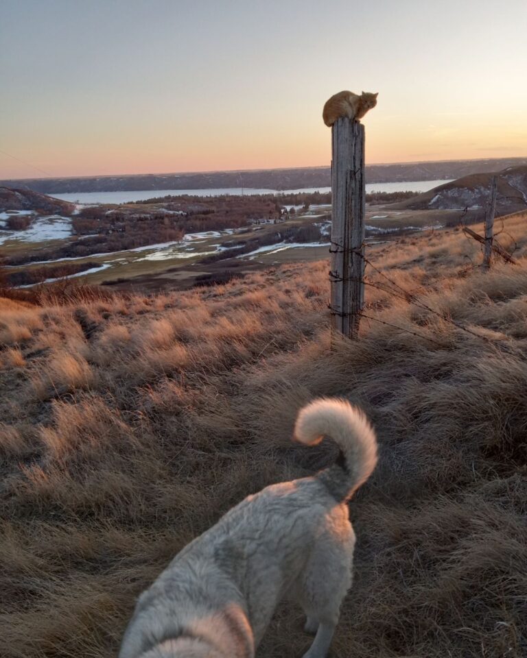 OFD Social Content 8 768x960