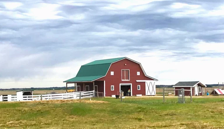 Farm in the Dell  768x443