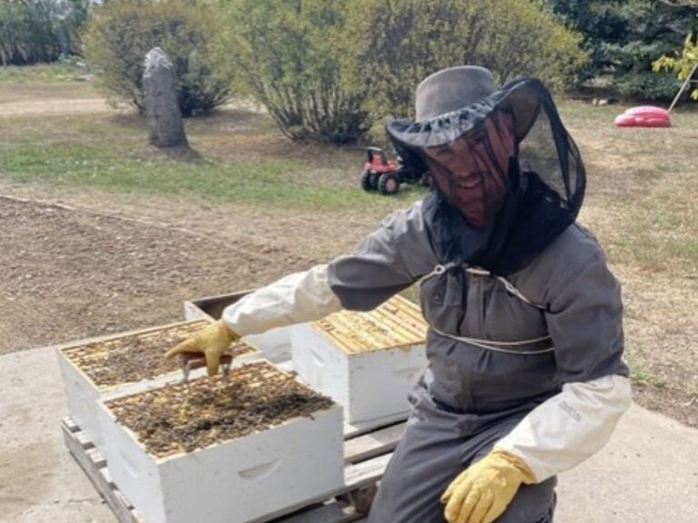4 1 768x576